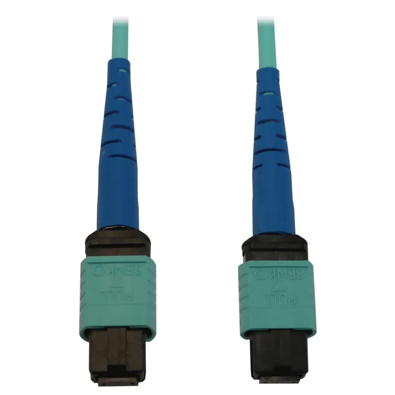 Eaton N846B-20M-24-P Fiber Optic Network Cable - 65.62 Ft